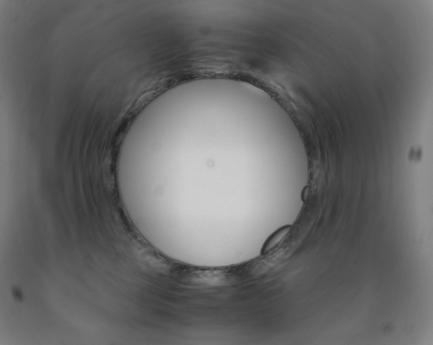 X0000093120377200709261019