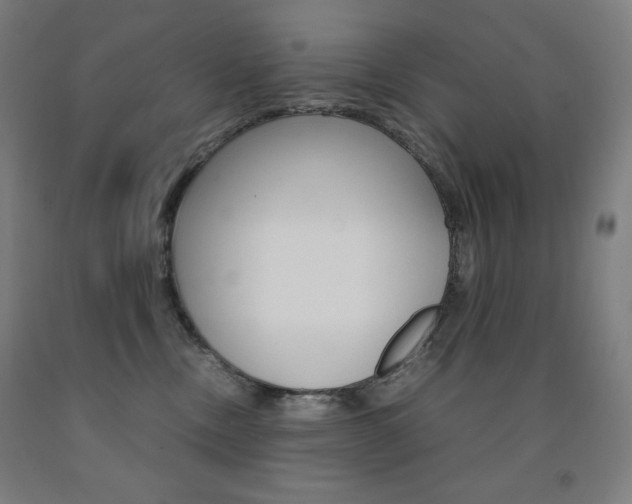X0000093120378200709261019