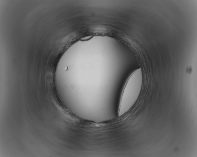 X0000093120379200709261019