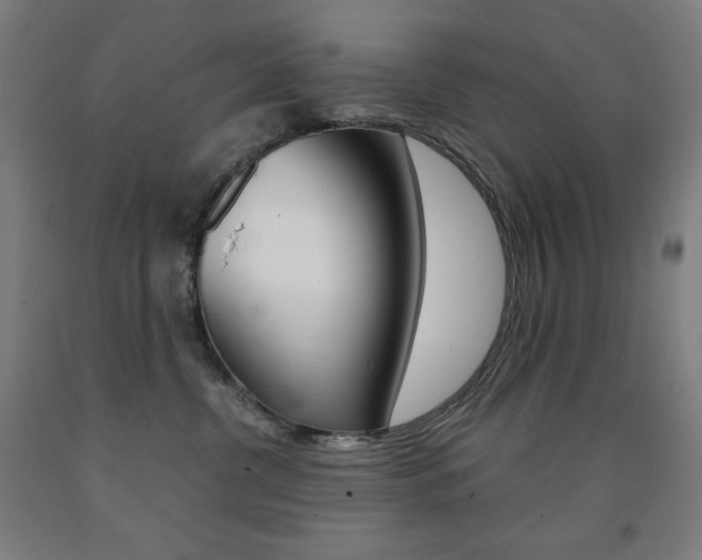 X0000093120380200709261019