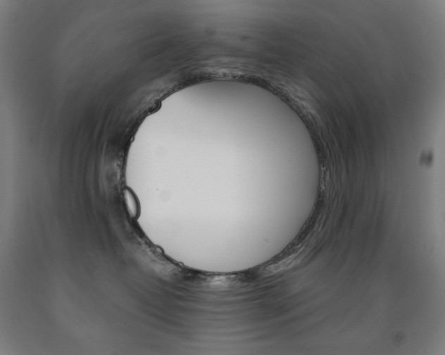 X0000093120382200709261019