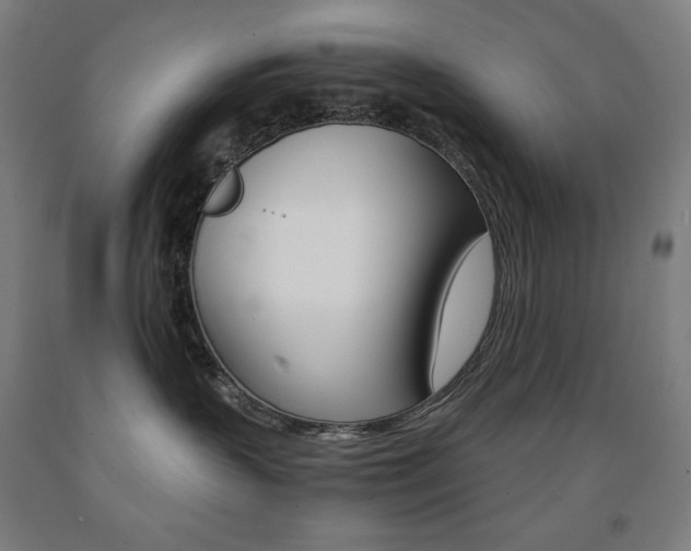 X0000093120383200709261019