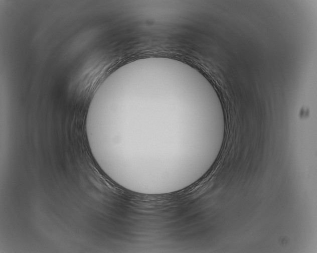 X0000093120384200709261019
