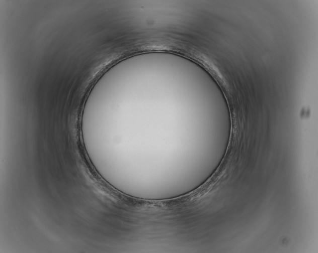 X0000093120386200709261019