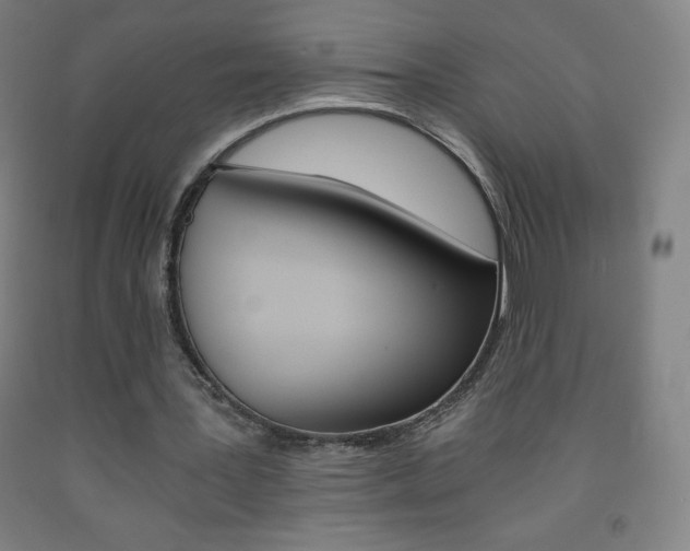 X0000093120387200709261019