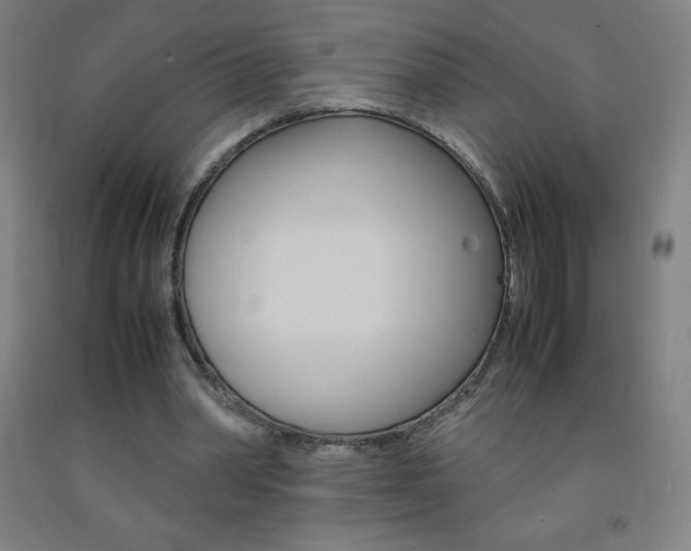 X0000093120390200709261019