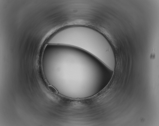 X0000093120392200709261019