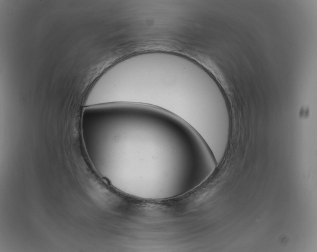 X0000093120393200709261019