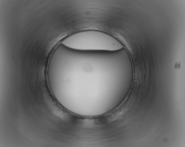 X0000093120394200709261019