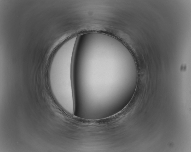 X0000093120395200709261019