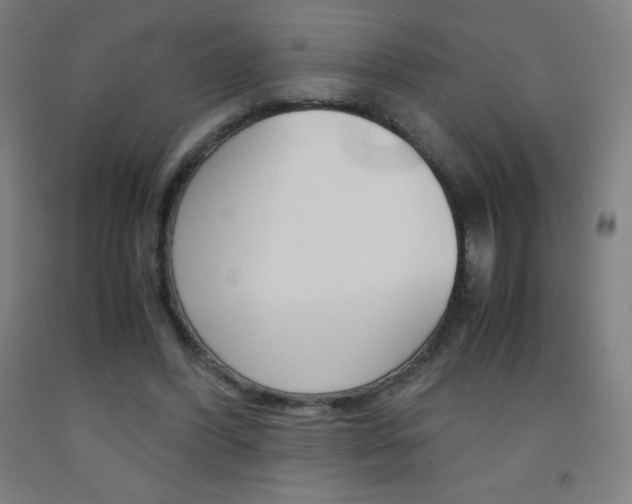 X0000093120396200709261019