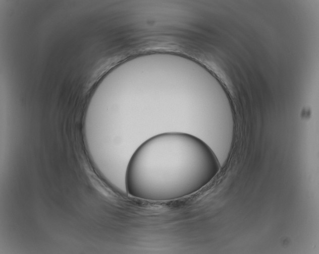 X0000093120397200709261019