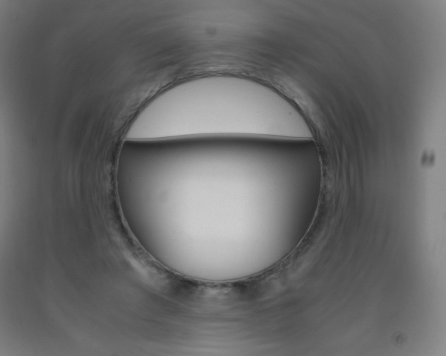 X0000093120401200709261019