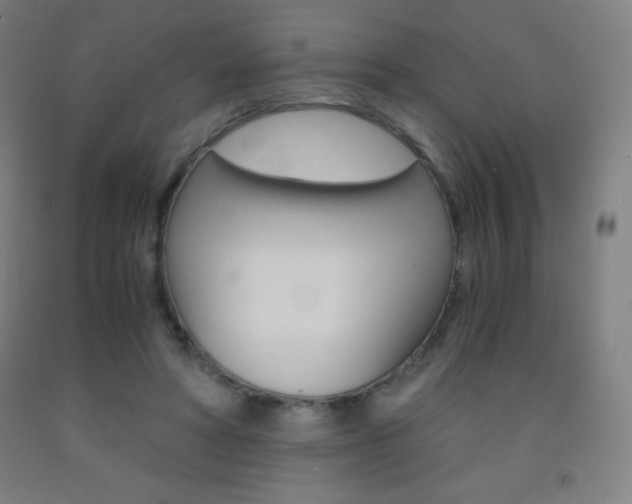 X0000093120402200709261018