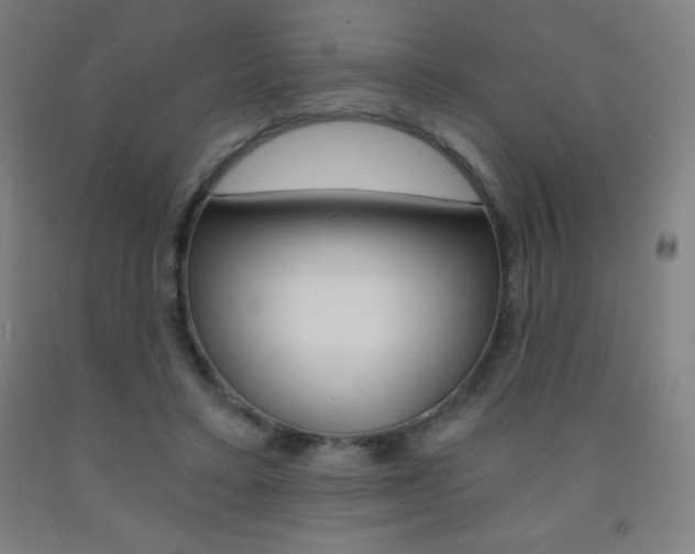 X0000093120403200709261018