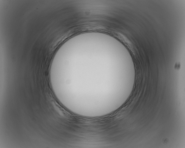 X0000093120405200709261018