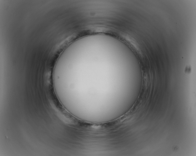 X0000093120406200709261018