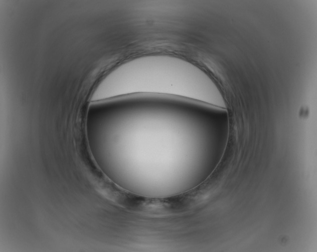 X0000093120407200709261018