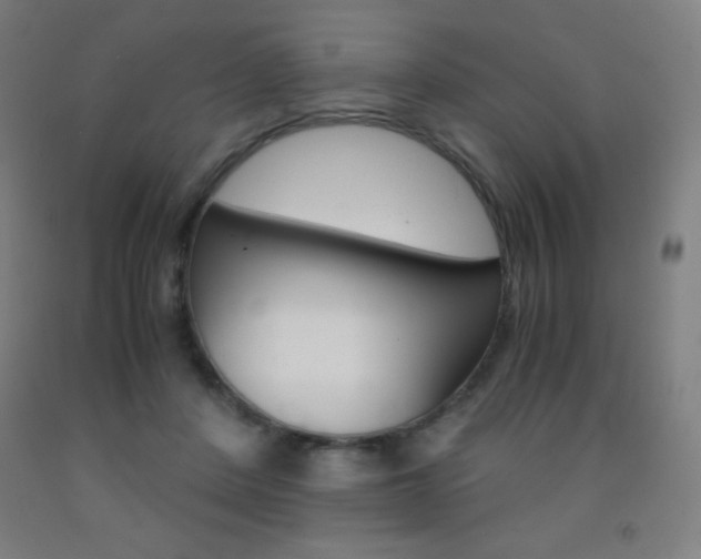 X0000093120408200709261018