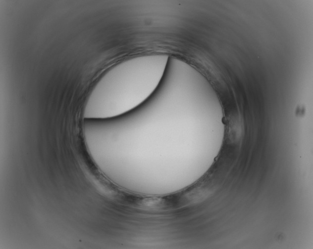 X0000093120410200709261018