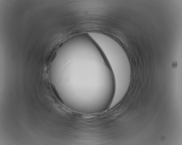 X0000093120411200709261018