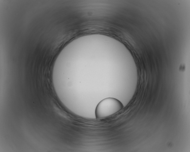 X0000093120412200709261018