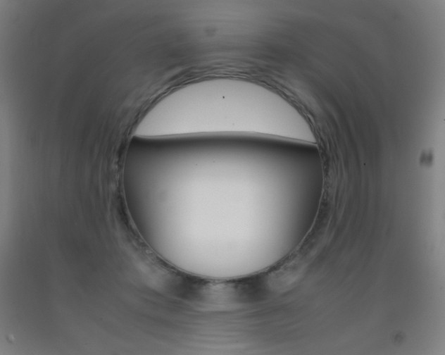 X0000093120413200709261018