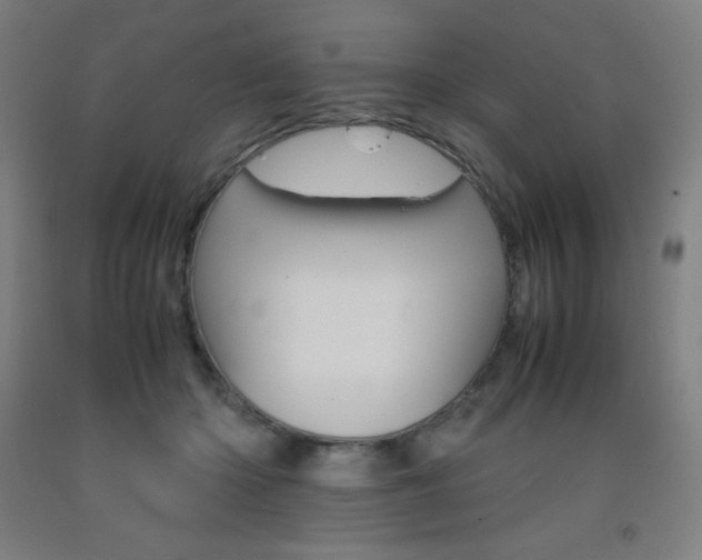 X0000093120414200709261018