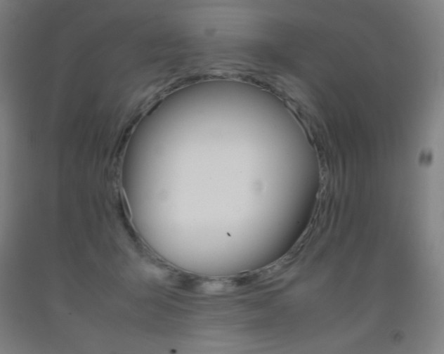 X0000093120415200709261018