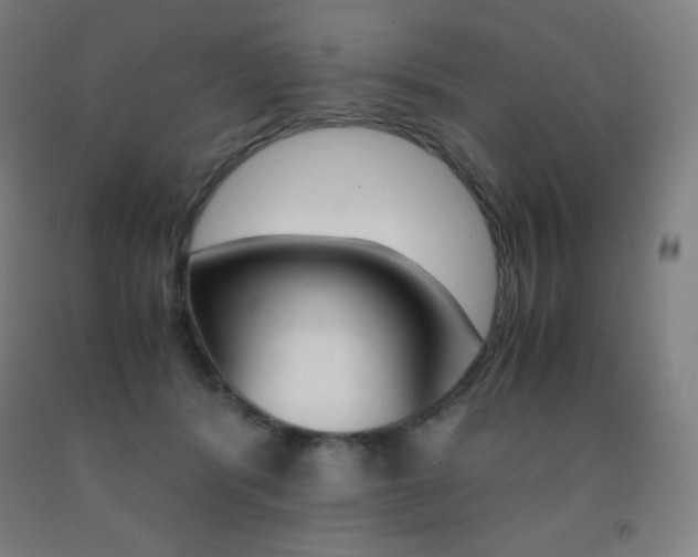 X0000093120416200709261018