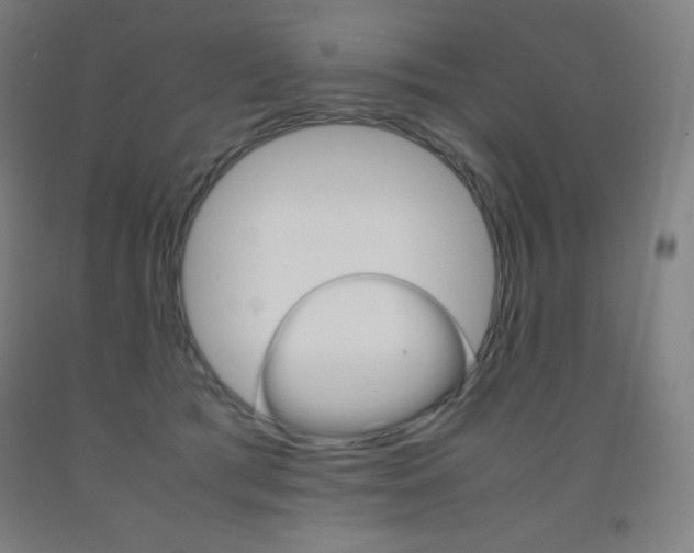 X0000093120417200709261018