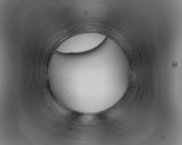 X0000093120418200709261018