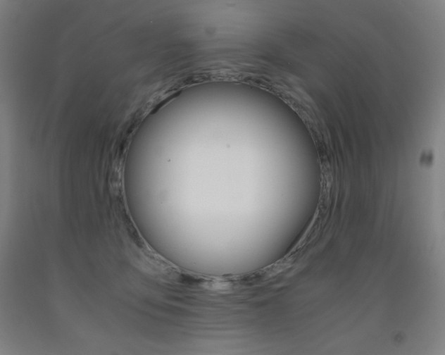 X0000093120419200709261018