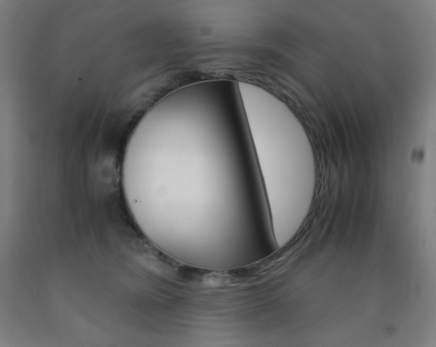X0000093120420200709261018