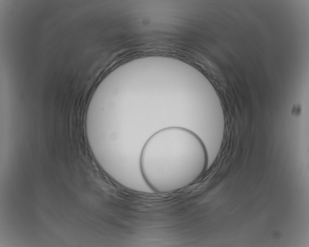 X0000093120421200709261018