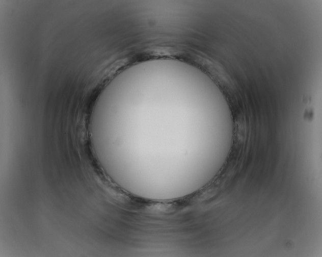 X0000093120422200709261018