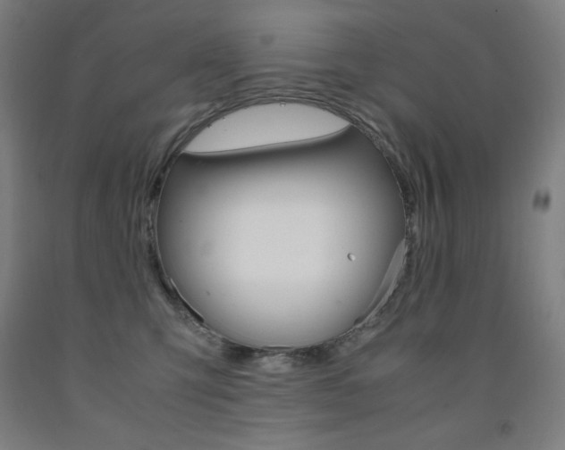 X0000093120423200709261018