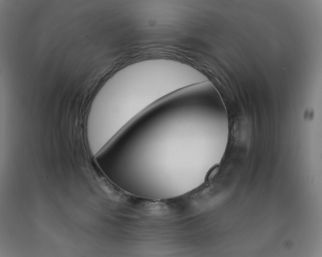X0000093120424200709261018
