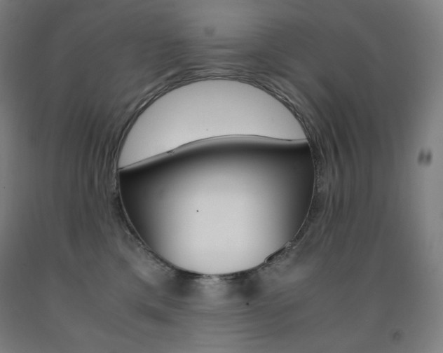 X0000093120425200709261018