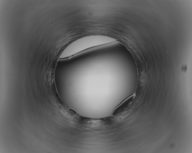 X0000093120428200709261018