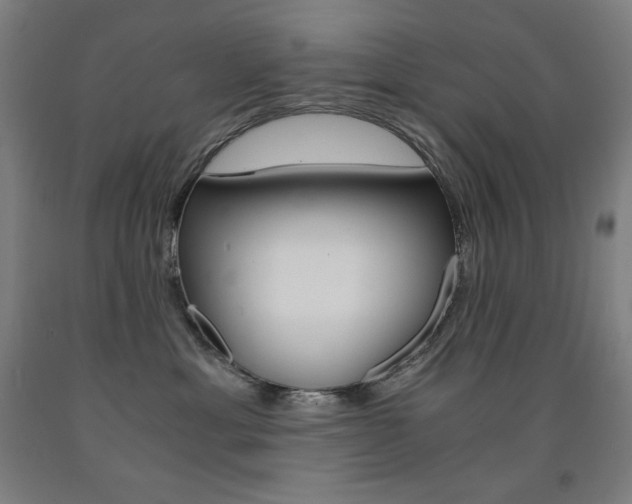 X0000093120429200709261018