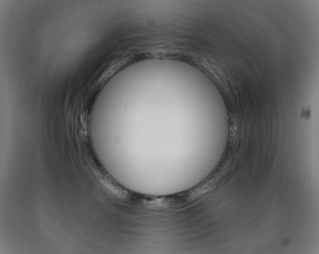 X0000093120430200709261018