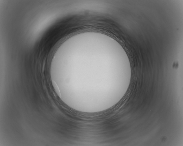 X0000093120431200709261018