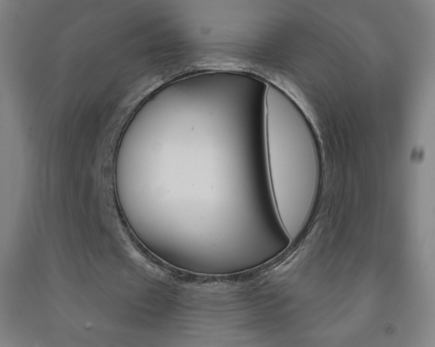 X0000093120433200709261017