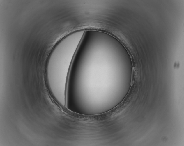 X0000093120434200709261017