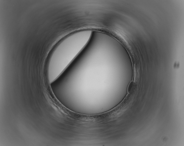 X0000093120435200709261017