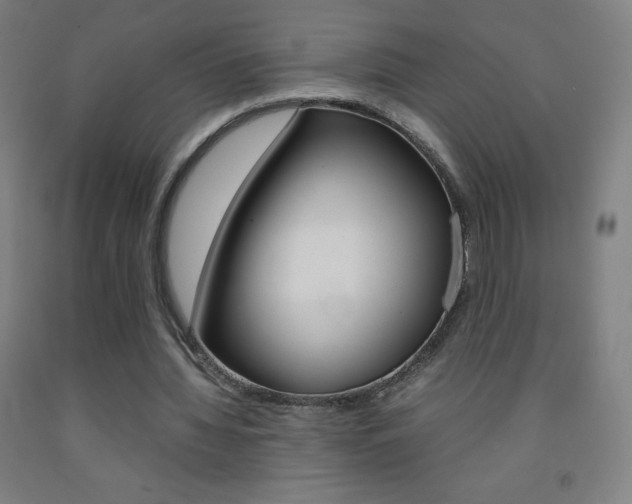 X0000093120436200709261017