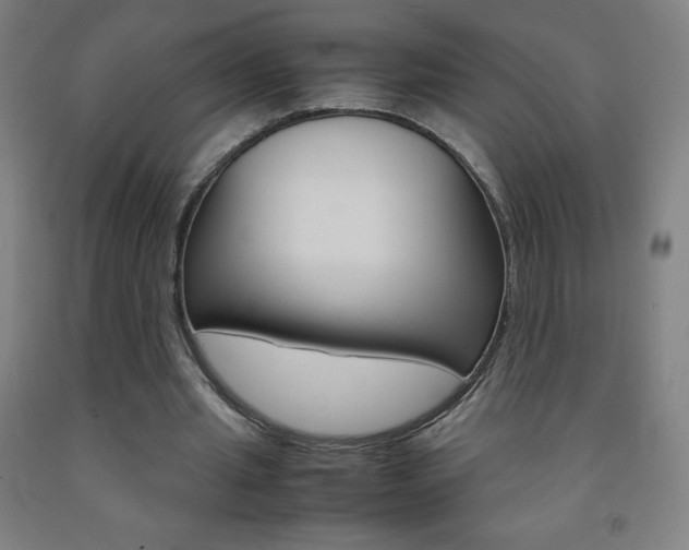X0000093120437200709261017