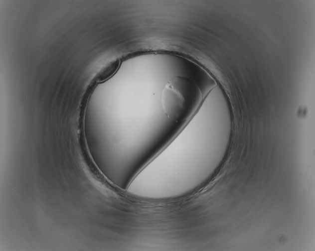 X0000093120438200709261017
