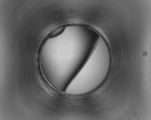 X0000093120439200709261017
